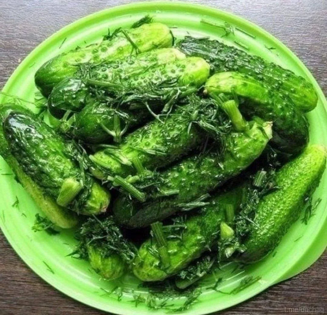МАЛОСОЛЬНЫЕ ОГУРЦЫ 🥒