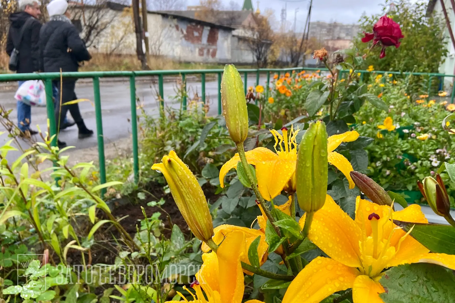 Доброе воскресное!