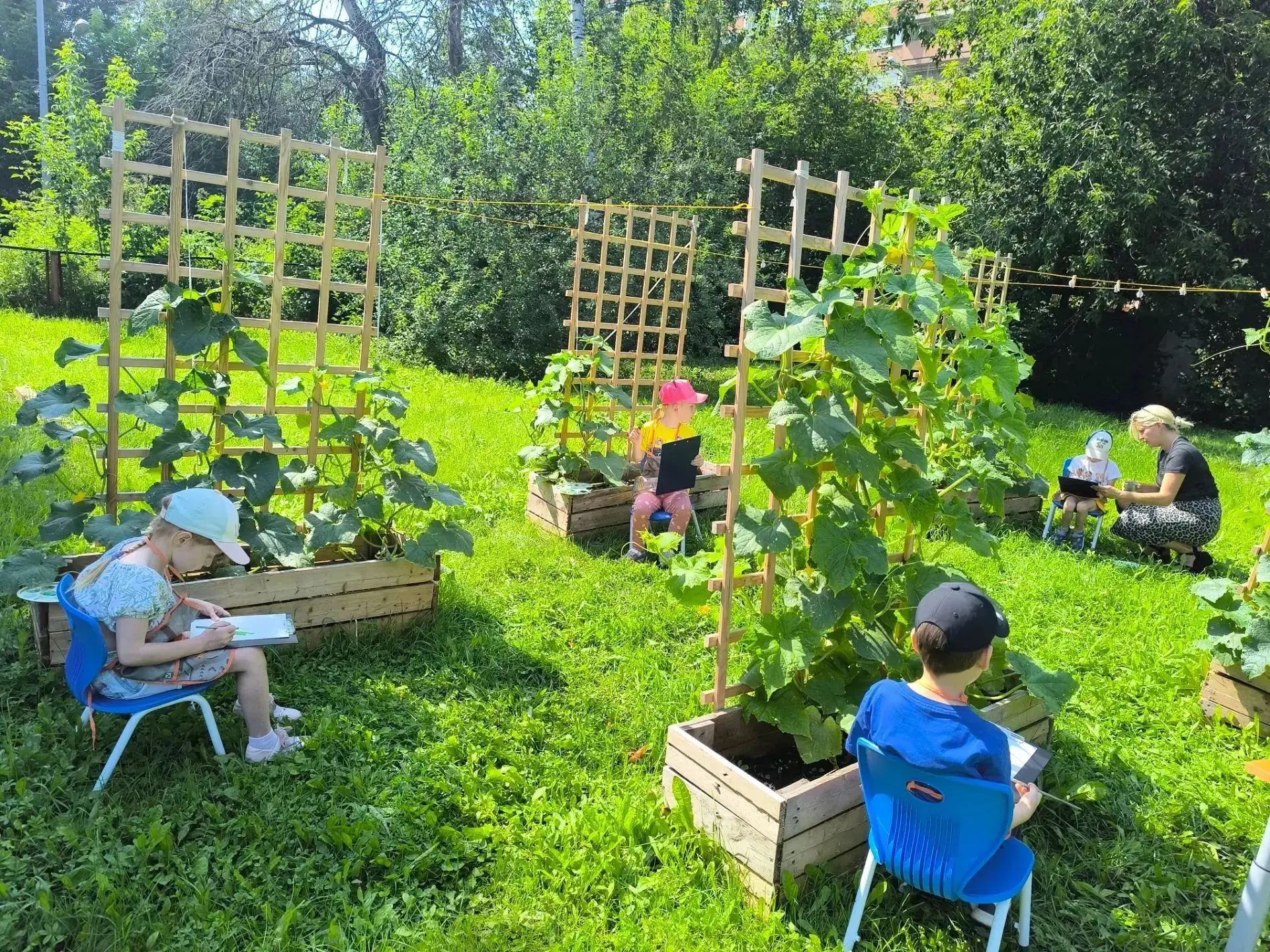 Ребята на занятии по ИЗО рисовали на свежем воздухе 🥒  огурцы с натуры, на нашем огороде 🥗