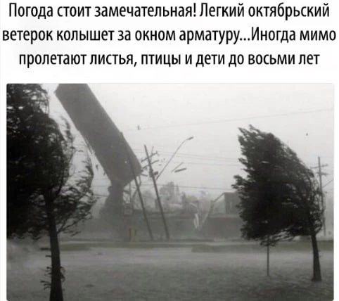 ⚡️МЧС предупреждает об опасности, которая может ждать жителей региона из-за сильного ветра