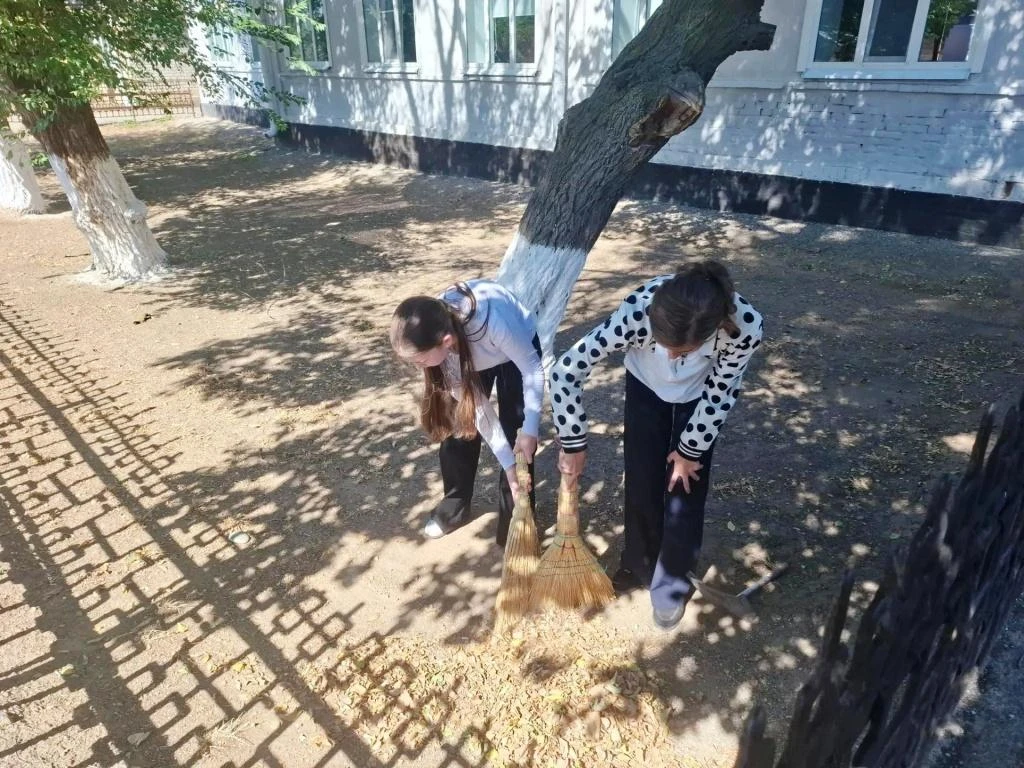 🍂СОХРАНИМ ПРИРОДУ СТАВРОПОЛЬЯ. АКЦИЯ "ЧИСТЫЙ ДВОР"
