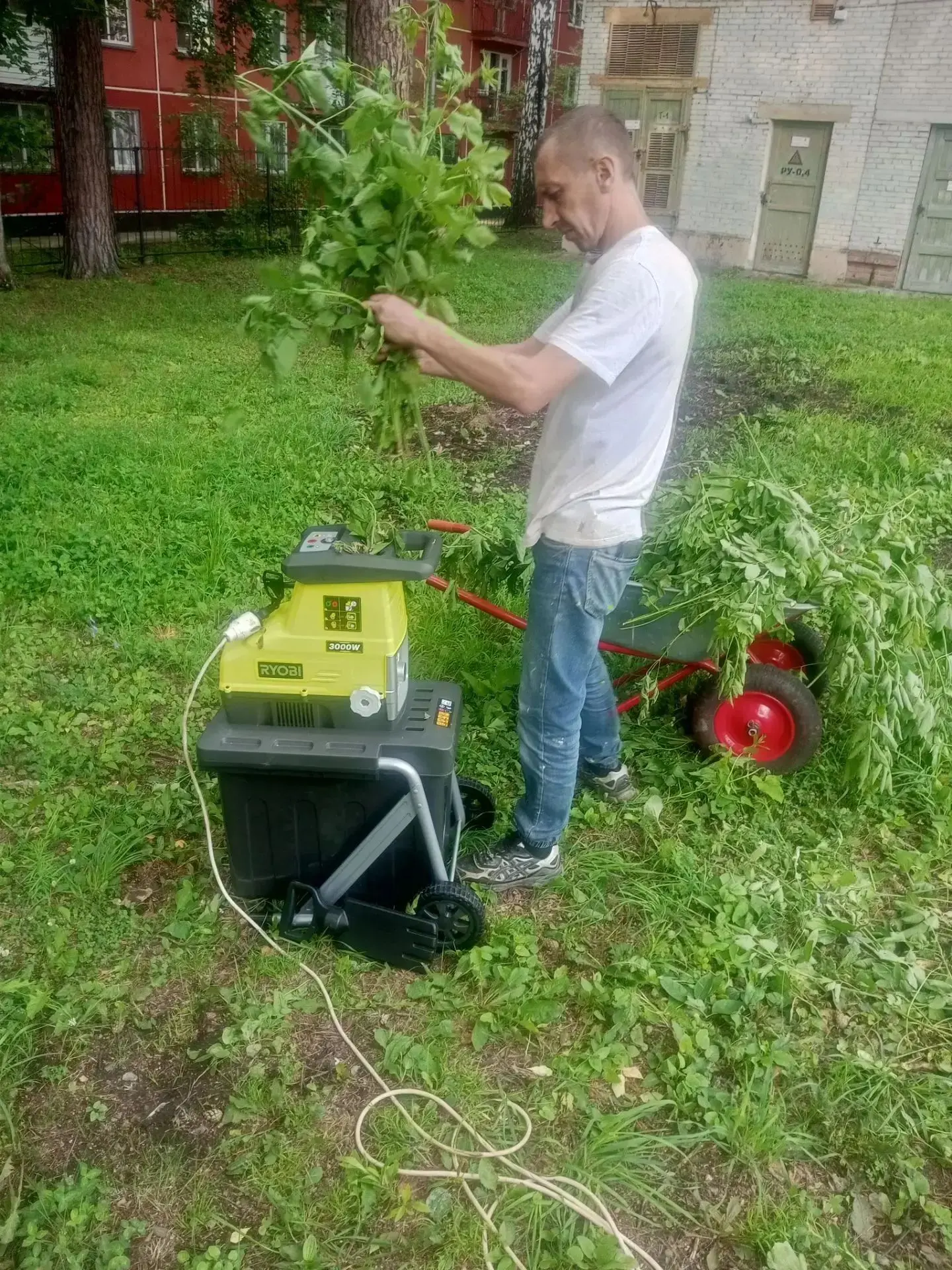 🌳 Территория в порядке!