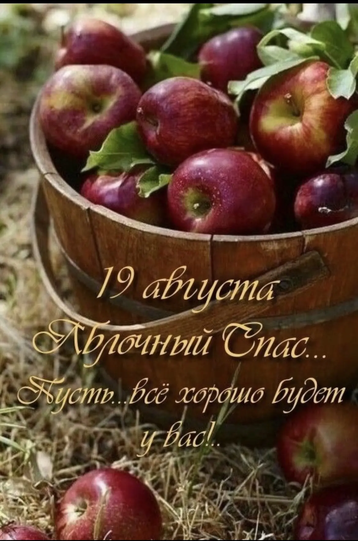 🍎 С Яблочным Спасом! 💛