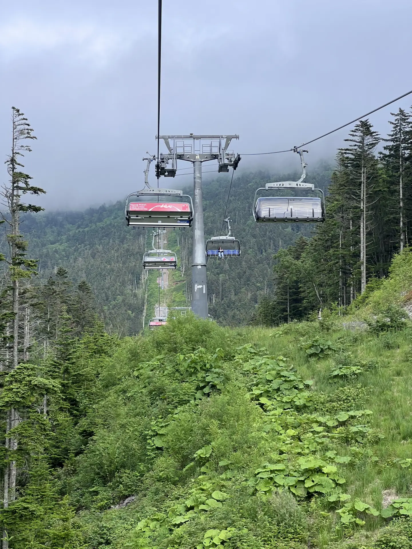 А вы уже были на Красной этим летом?🌿🏔️