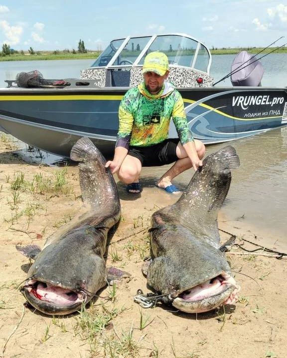 🎣 Рыбак из Ростовской области поймал двух сомов весом более 50 килограммов

Житель Таганрога похвас