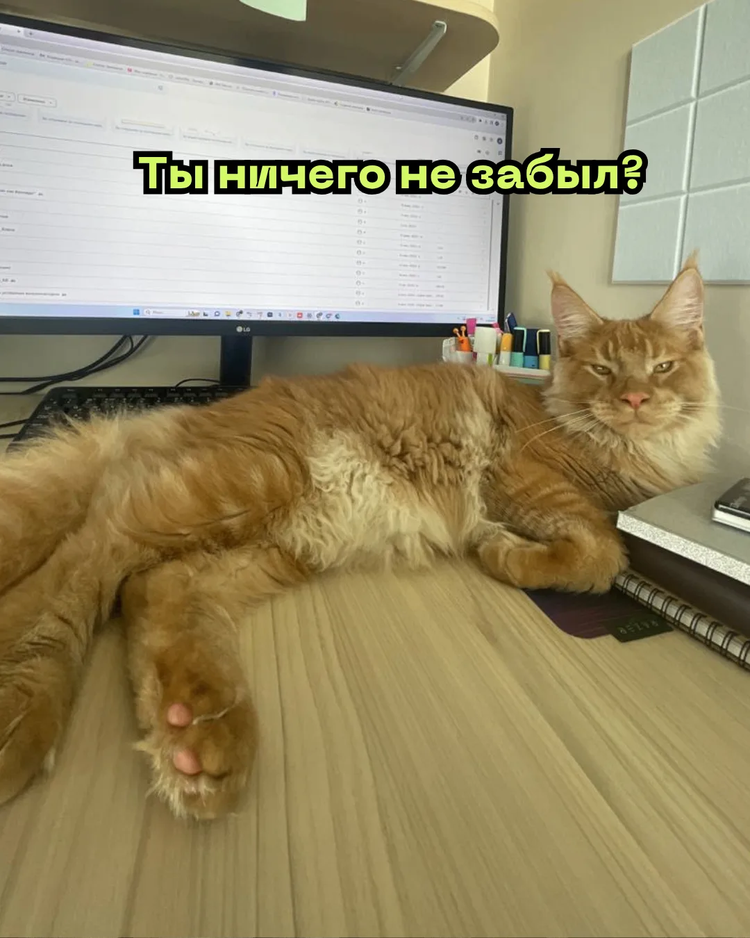Наш уютный 3д стрим в самом разгаре 🔥