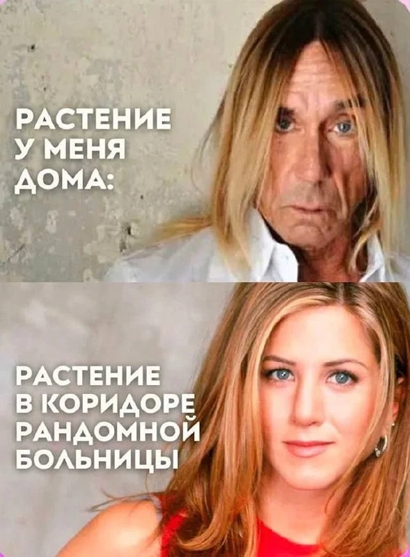 Изображение 1 к публикации «Один смех»