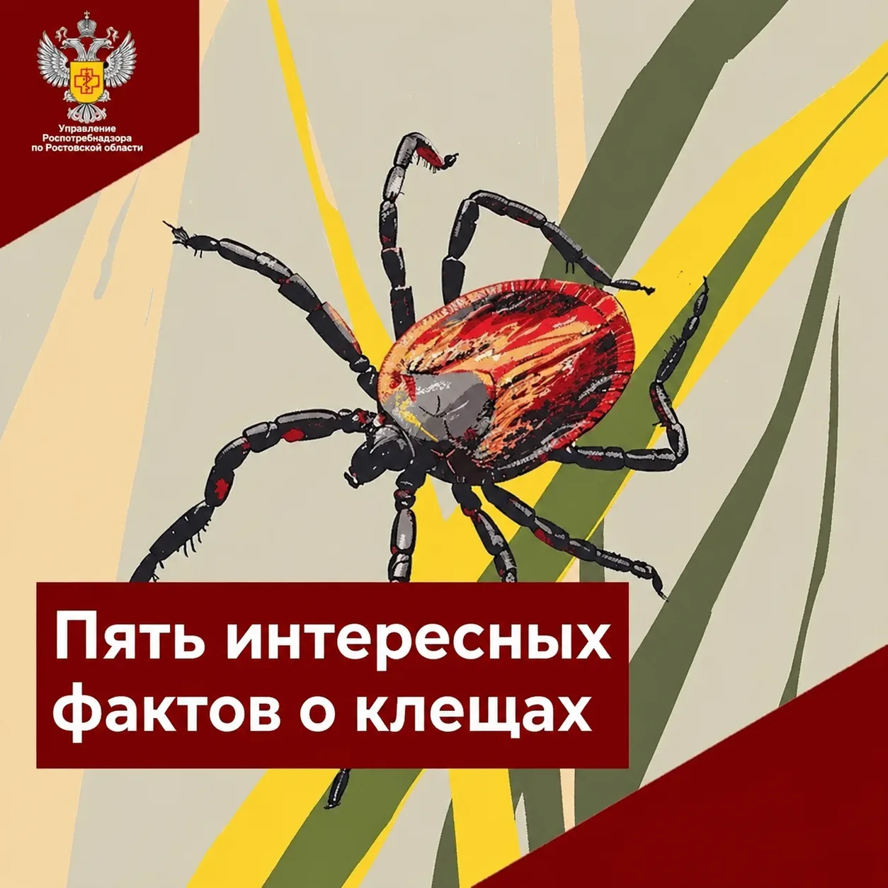 Пять интересных фактов о клещах и правила профилактики