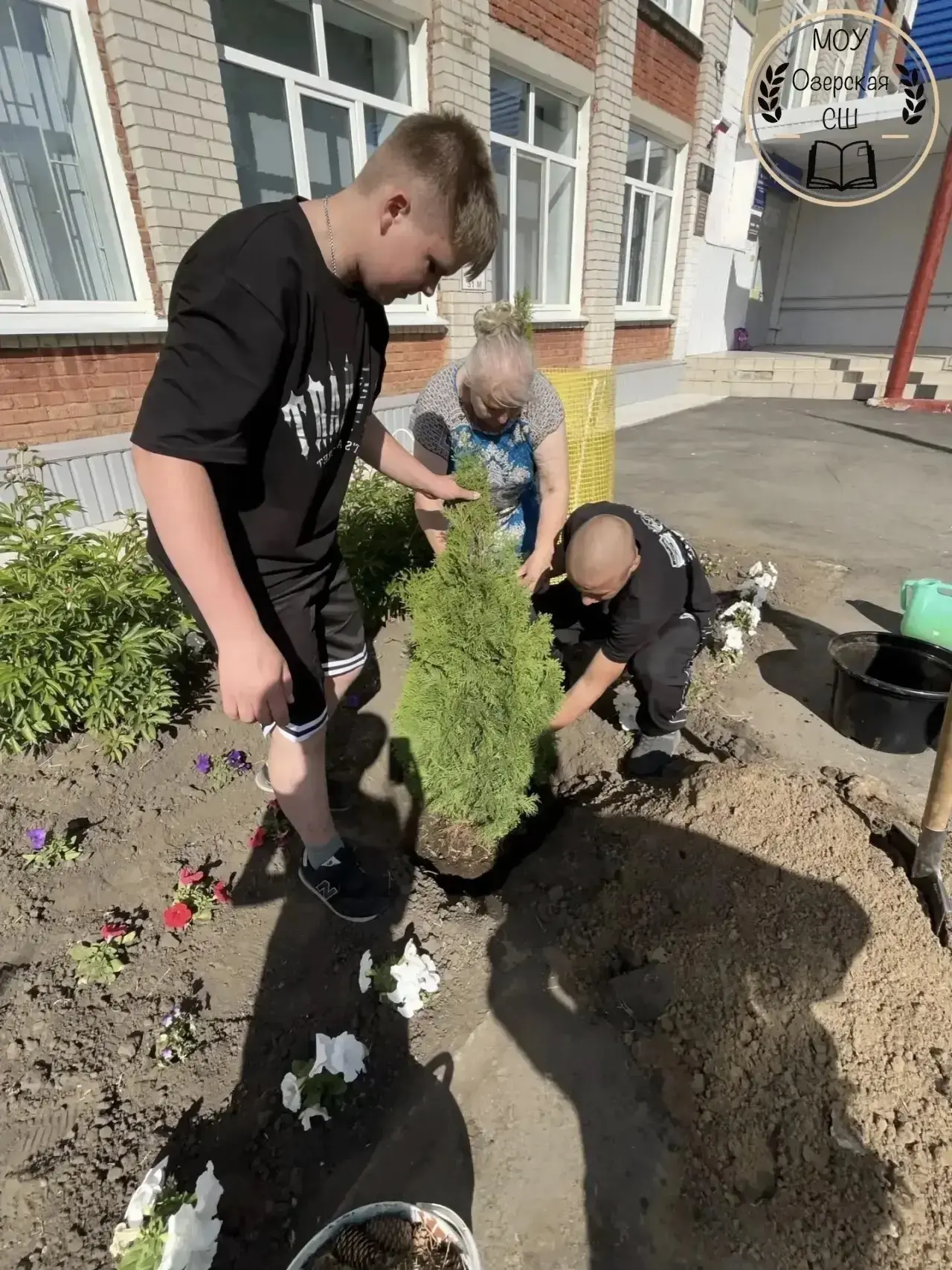 🌳  Традиция: наша школьная аллея выпускников!

В июне 2025 года, в торжественный день вручения атте