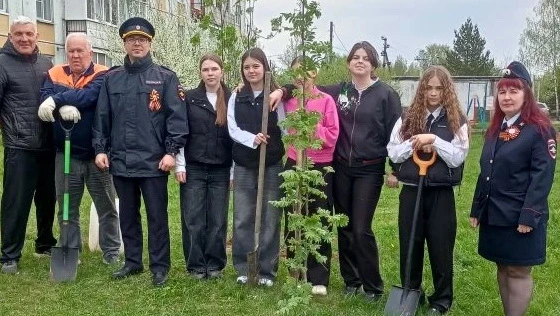 В Костромской области полицейские и общественники продолжают проведение акции Сад памяти.  В Костром