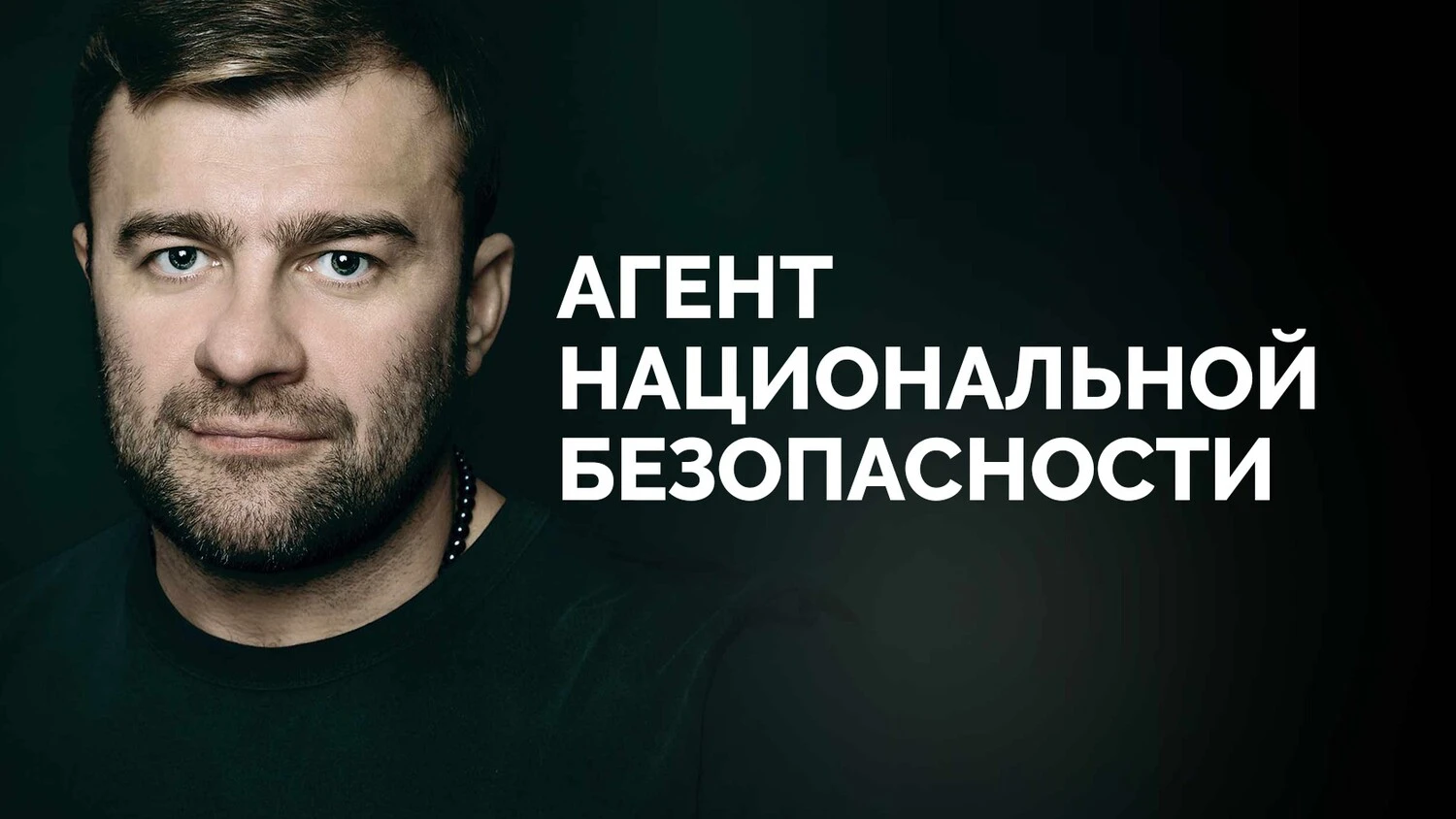Агент национальной безопасности   (1999)