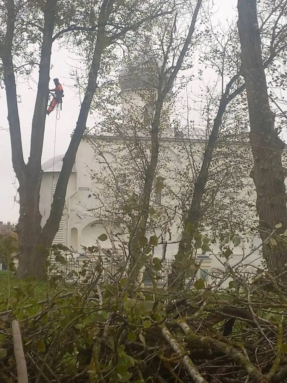 В Великом Новгороде начали открывать видовые точки на памятники. Работы стартовали на Я...