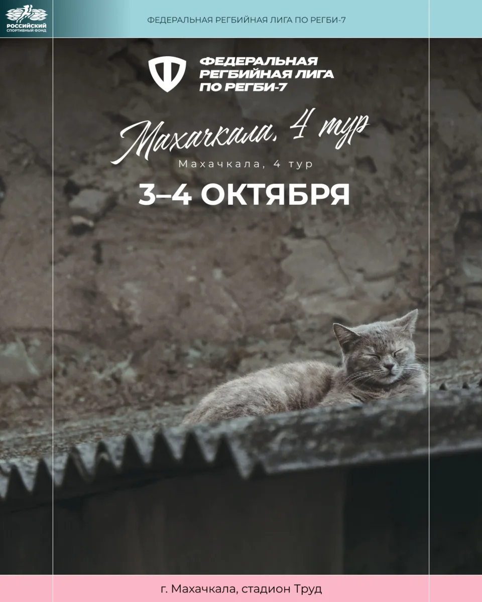 Финишная прямая женской Федеральной регбийной лиги 🏉