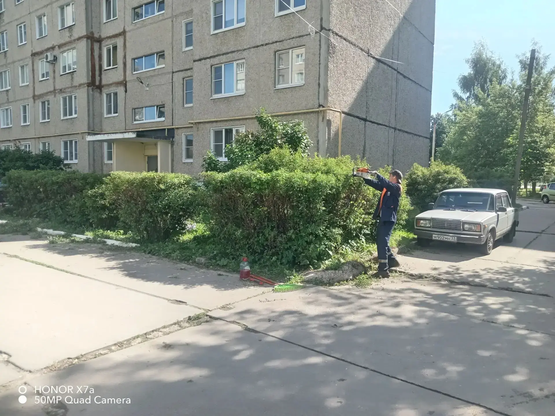 🌳 Преображение продолжается!


У нас по плану «стрижки»! И это не про парикмахерскую 😄 Мы приводим