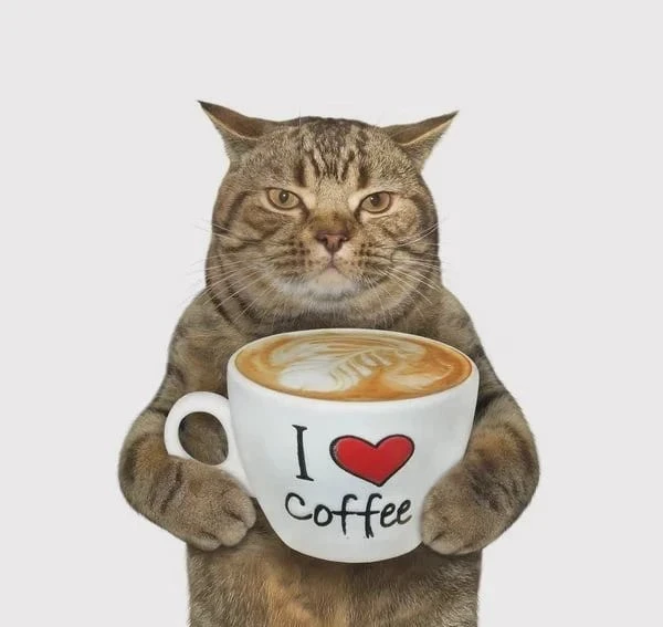 ☕️ Сегодня — Международный день кофе