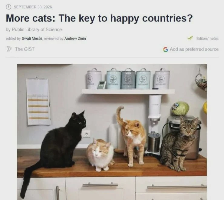 Кошачья статистика: чем больше мурлык, тем счастливее страна