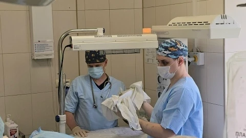 👶 В Видном врачи помогли женщине стать мамой в пятый раз после четырех кесаревых

В Видновском пери