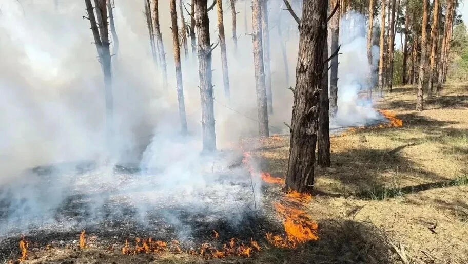 🔥Три пожара после атак ВСУ ликвидировали в Голопристанском лесхозе за неделю