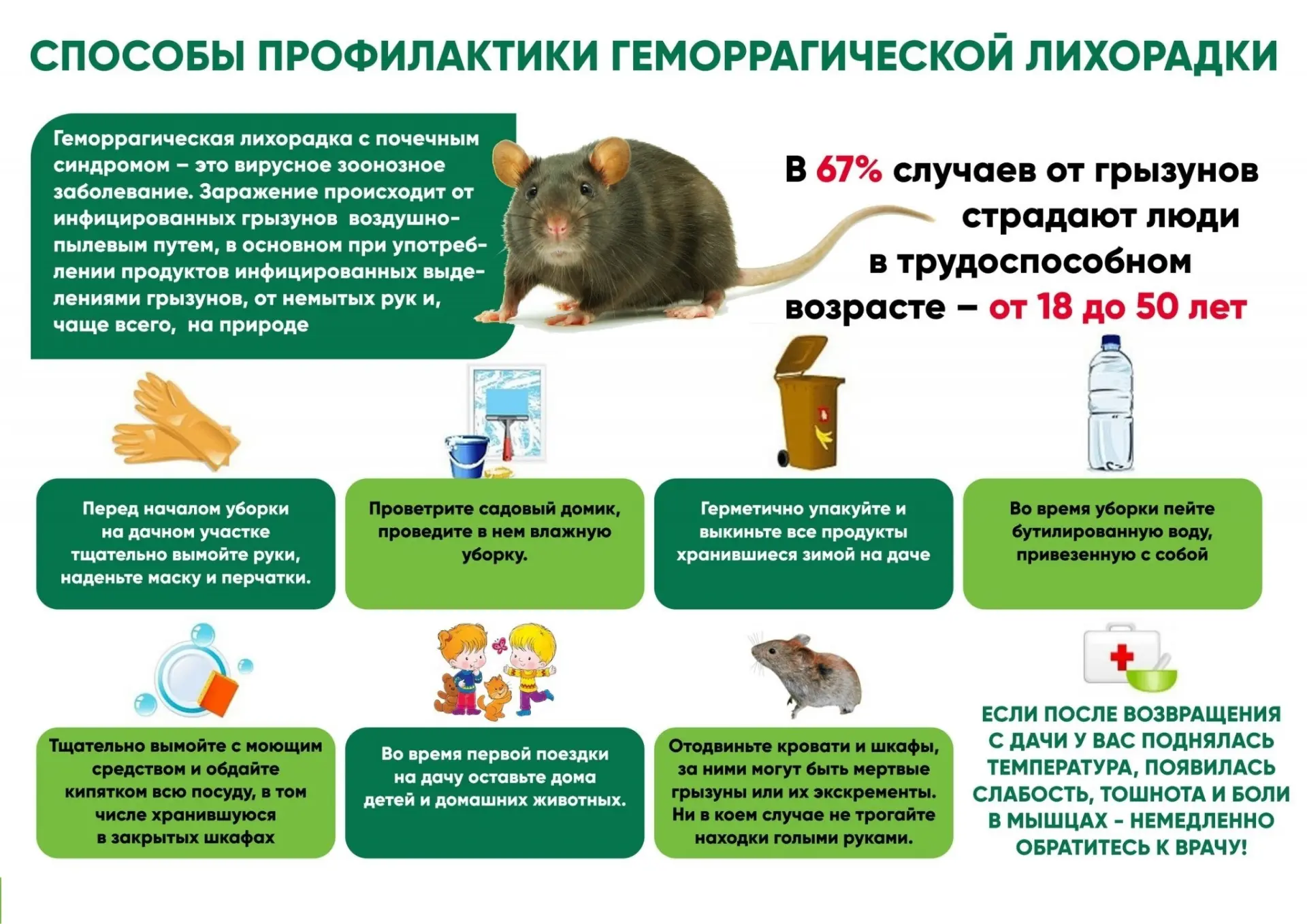 ⚡ПРОФИЛАКТИКА ГЕМОРРАГИЧЕСКОЙ ЛИХОРАДКИ С ПОЧЕЧНЫМ СИНДРОМОМ