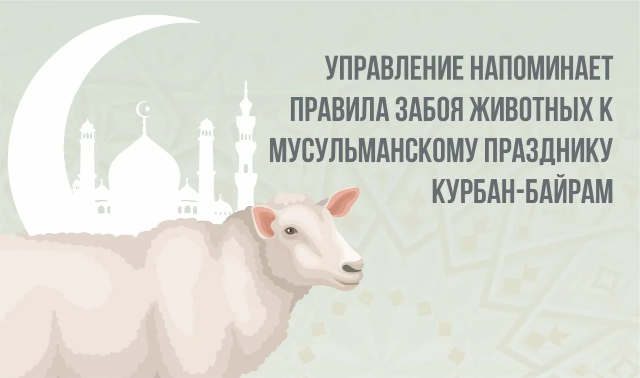 📍Россельхознадзор напоминает правила забоя животных к празднику Курбан-Байрам