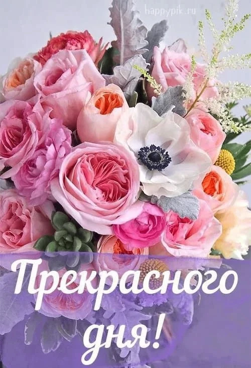 Делитесь открыткой с друзьями и поддерживайте реакцией 😍

Твои открытки - подписаться