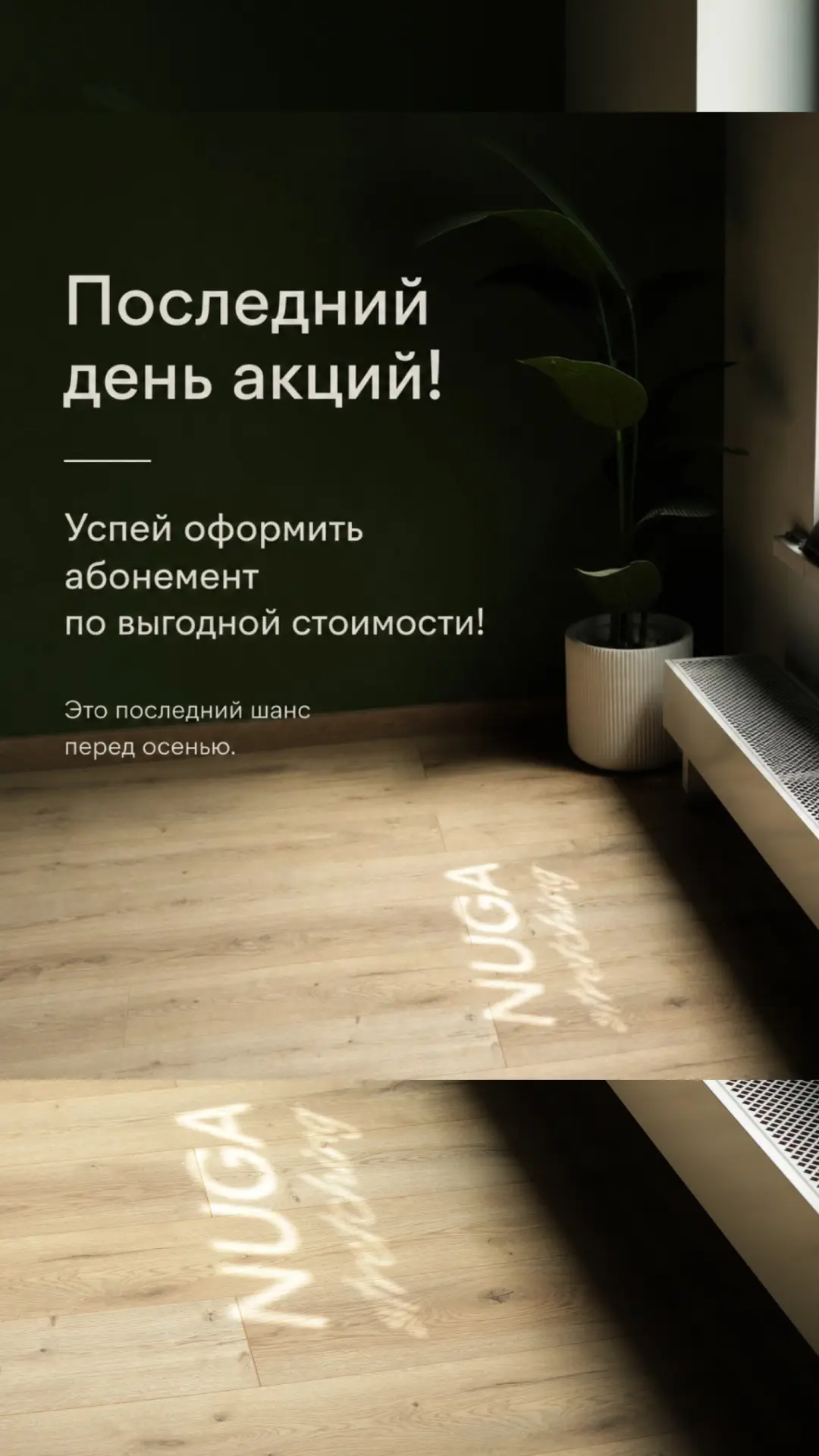 ПОСЛЕДНИЙ ШАНС ПЕРЕД ОСЕНЬЮ 🍁