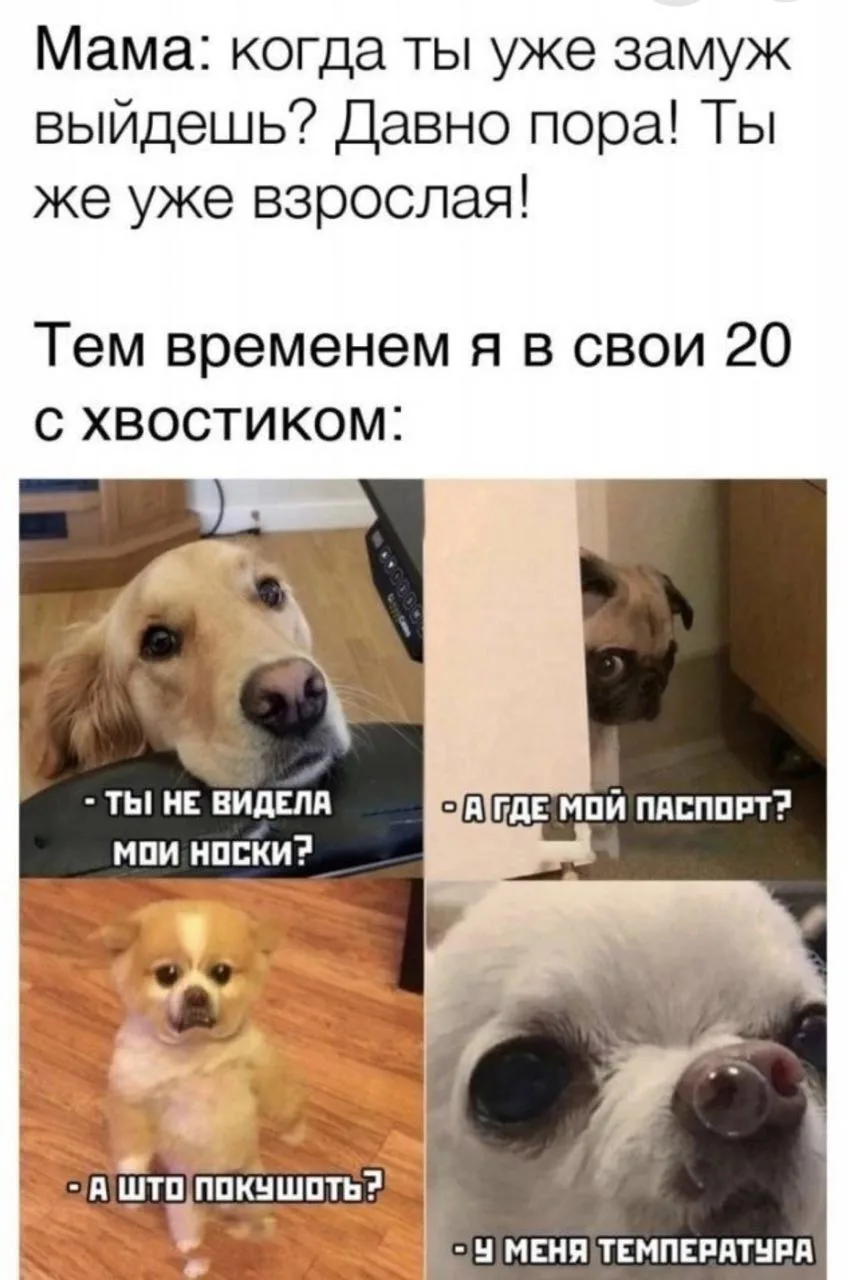 МемоБосс