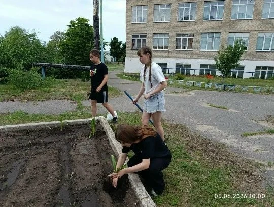 👉День экологии👈                                                                                   
