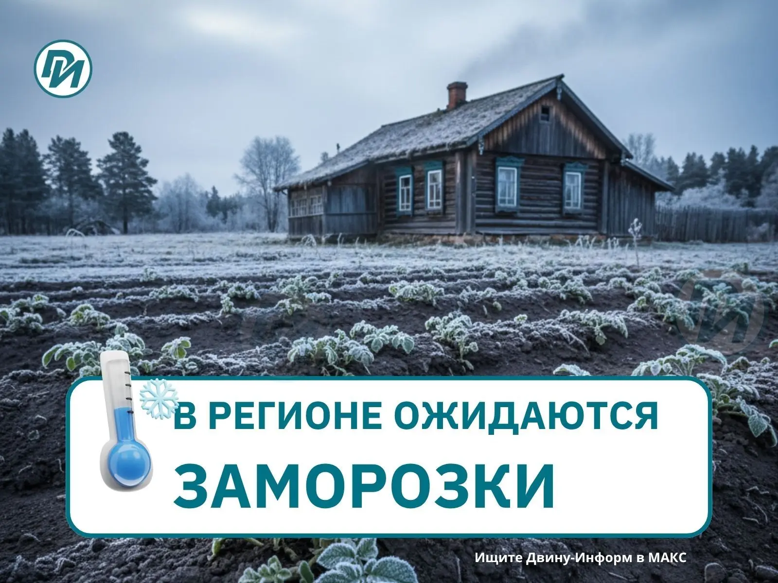 ⚠️ На юго-востоке региона этой ночью ожидаются заморозки – прогнозирует Северный УГМС.