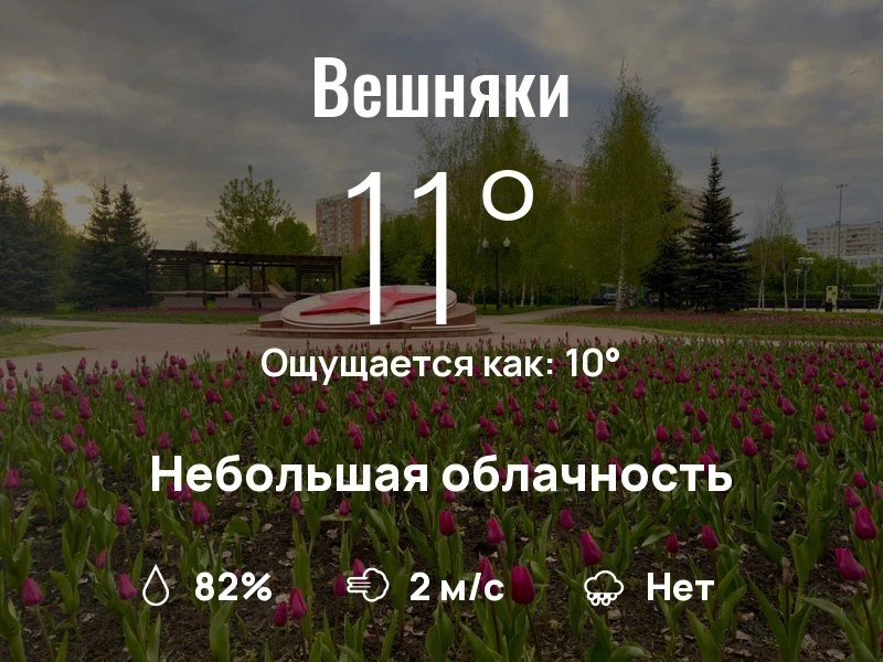 Что с погодой в Вешняках?