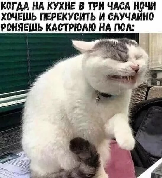 Нужен заряд позитива? Наш юмористический канал — то, что доктор прописал!  Мемы, шутки, смешные исто