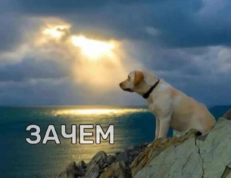 *в хорошем настроении соглашаюсь на встречу с друзьями в выходные*