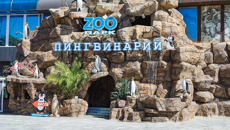 🐬🐧Любите понаблюдать за рыбками? Посмотреть на пингвинов или может быть поплавать с дельфинами? 

