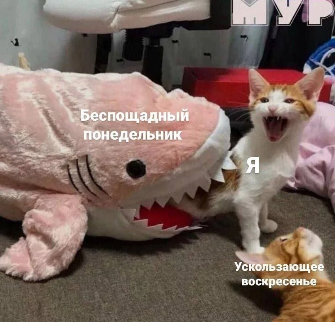13 сентября, воскресенье, Ставрополь
