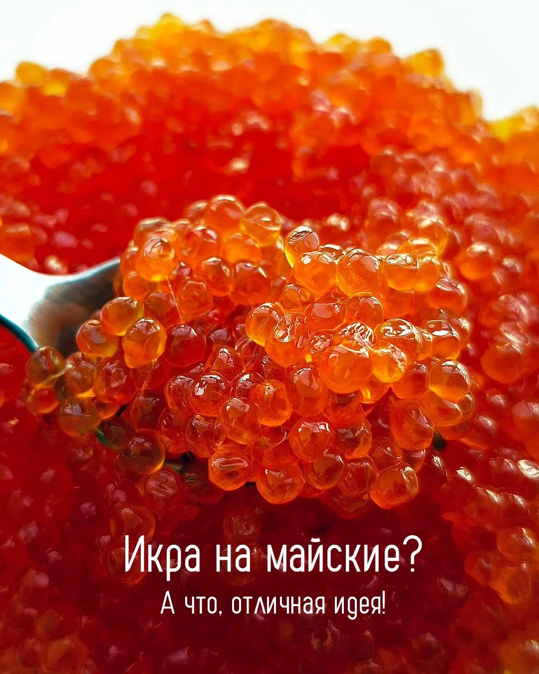 У красной икры плохая привычка — многие её вспоминают только новогодним к праздникам. А...