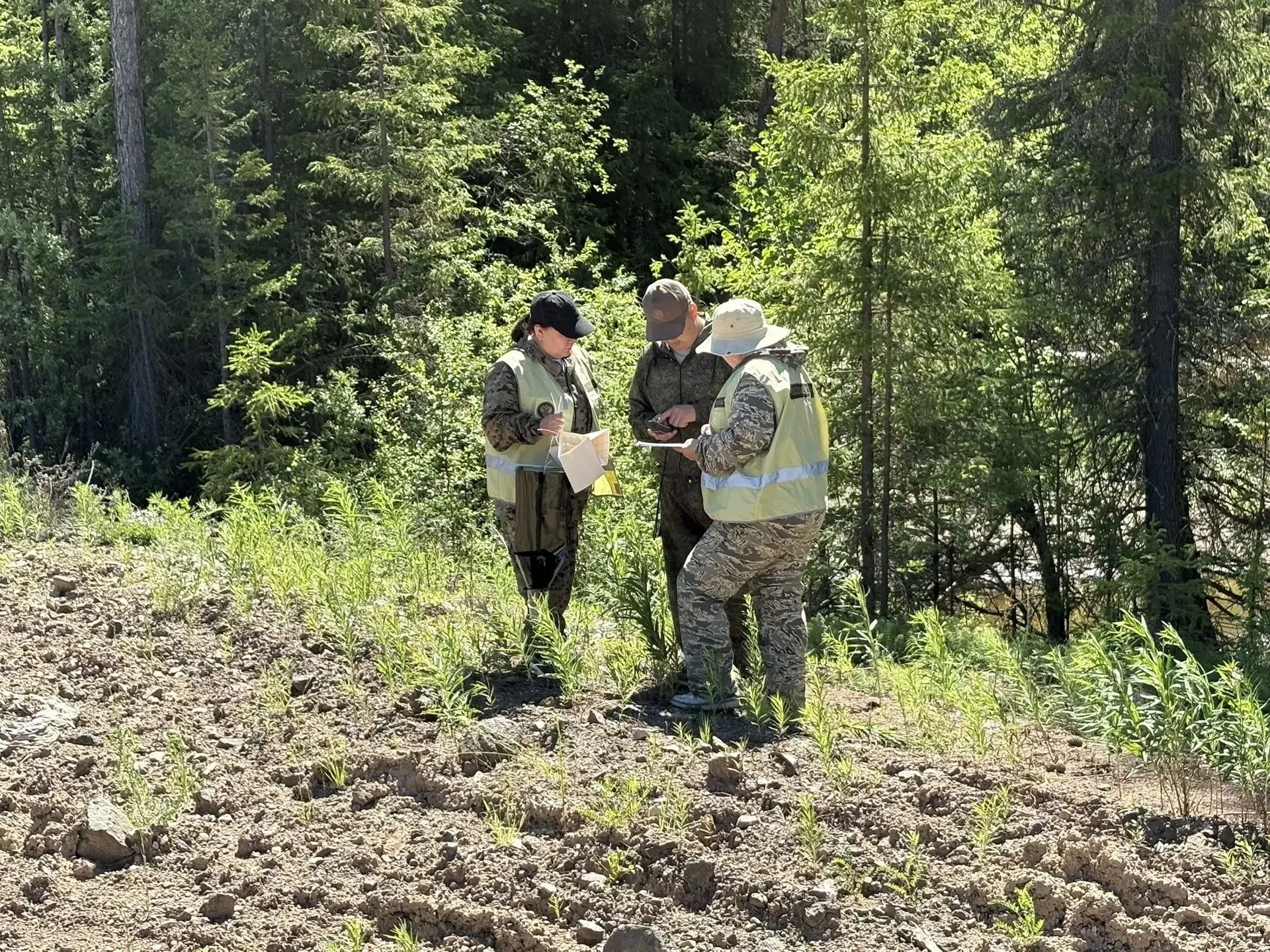 🌿🌲Россельхознадзором проведён мониторинг карантинного фитосанитарного состояния Ханга...