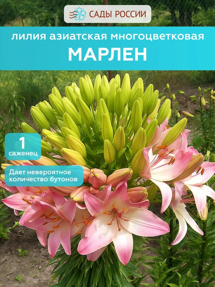 🍂 С сайта исчезли, а заказать ещё можно!