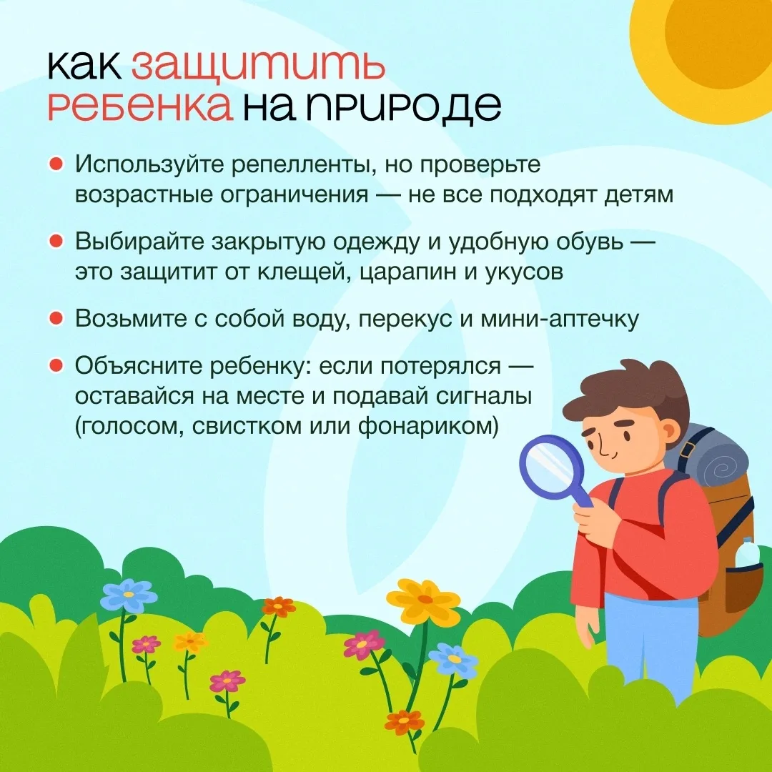 🌿 Отправляясь в лес за грибами, ягодами или просто на прогулку, не забывайте о простых правилах без