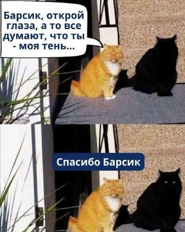 Подпишись на юмор 😂