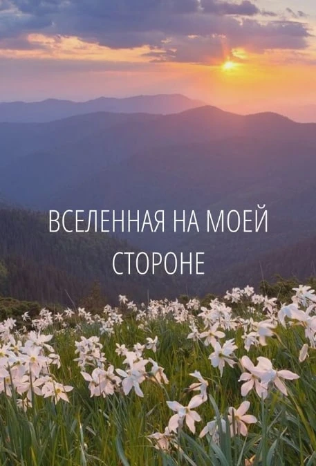 #аффирмации #луизахей