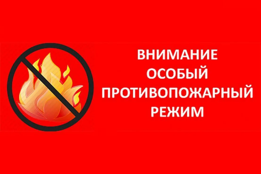 Особый противопожарный режим (ОПР) в лесах Липецкой области вводится на период с 20 мая...