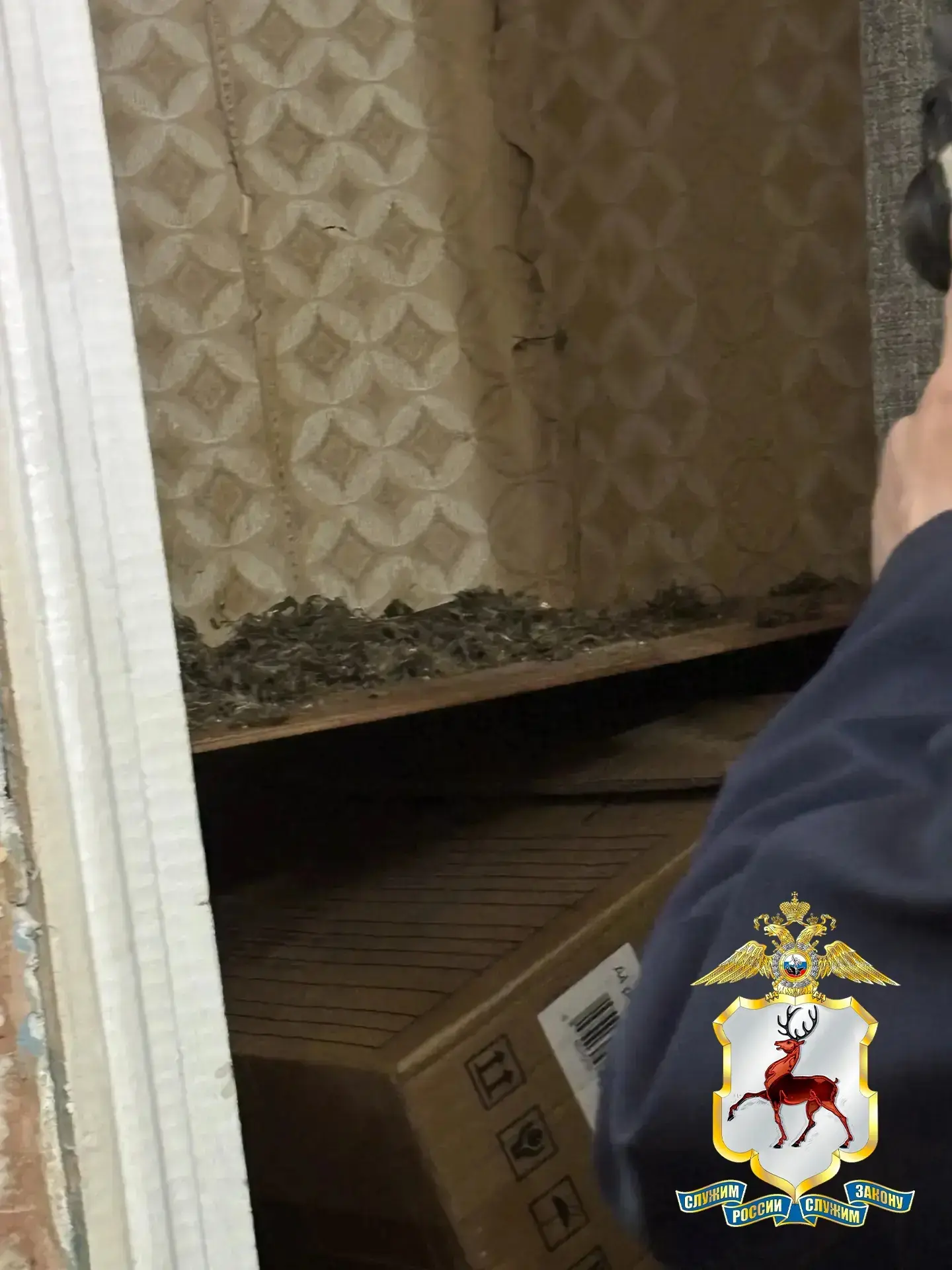 ☘️ В Вадском районе полицейские изъяли у мужчины более 100 граммов конопли