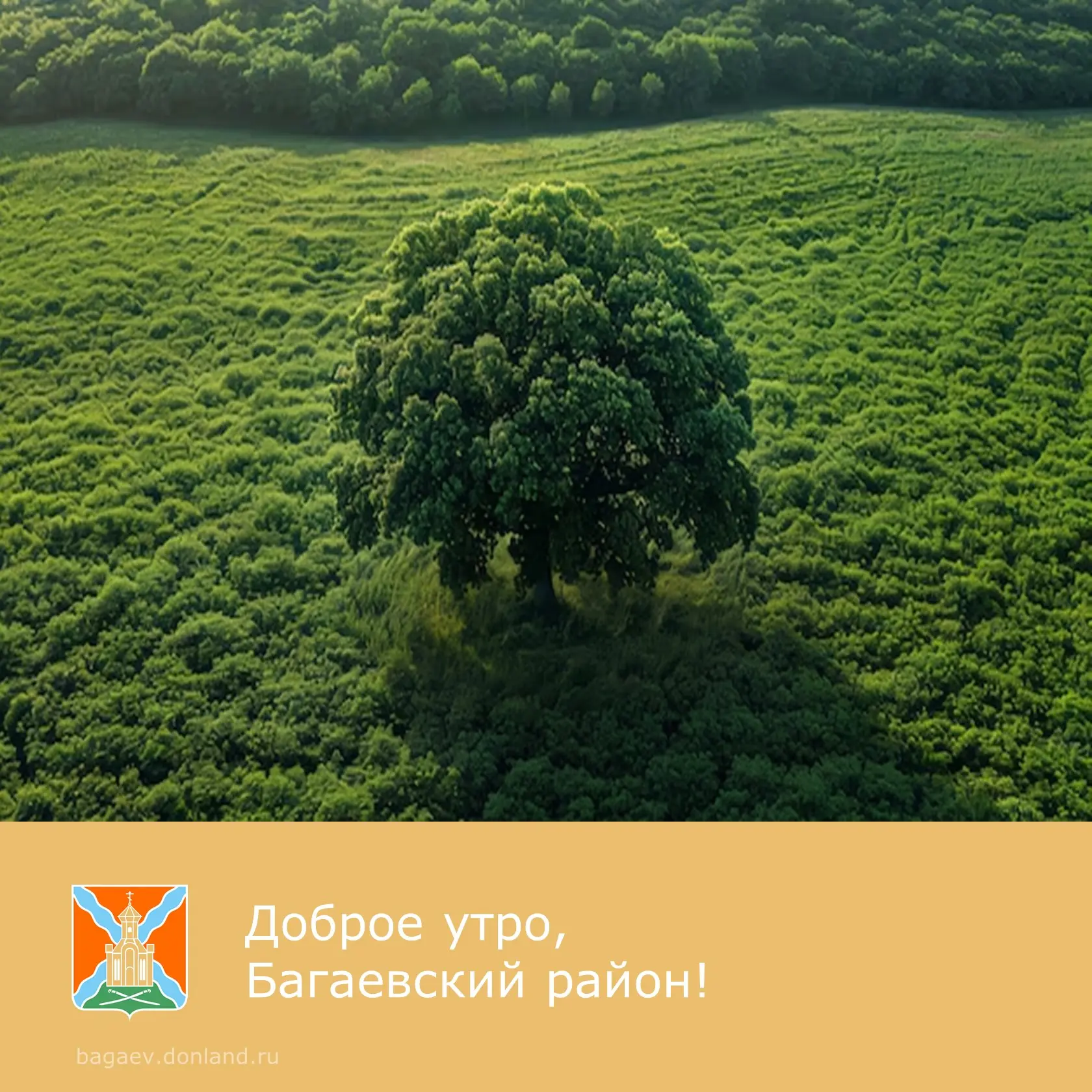 ☀️ Доброе утро, уважаемые жители Багаевского района!
⭐ Пусть день начнется с улыбки, продолжится усп