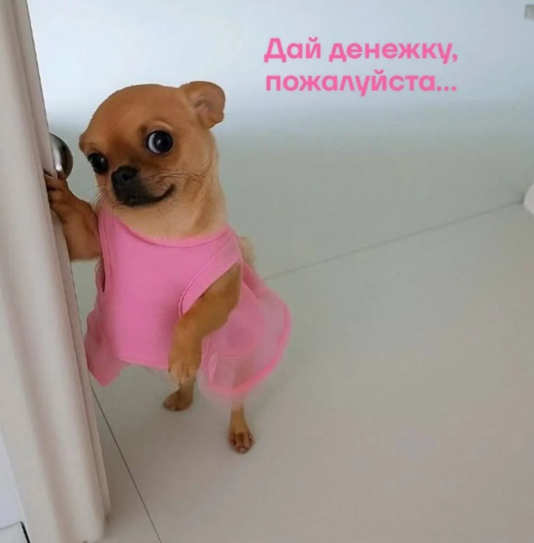 🥹 День «Переведите деньги дочери» празднуют сегодня