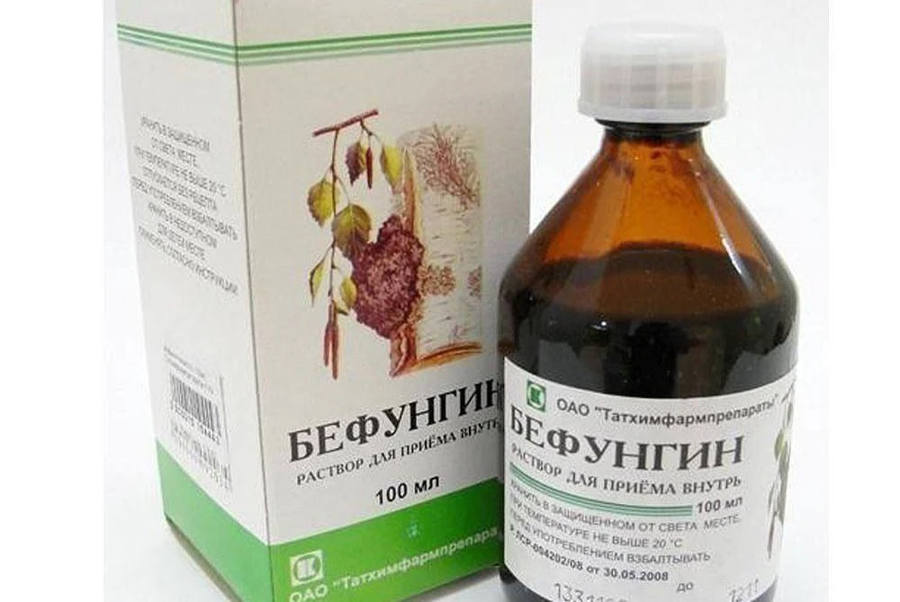 Чага: Берёзовый эликсир на страже здоровья! 🌿
