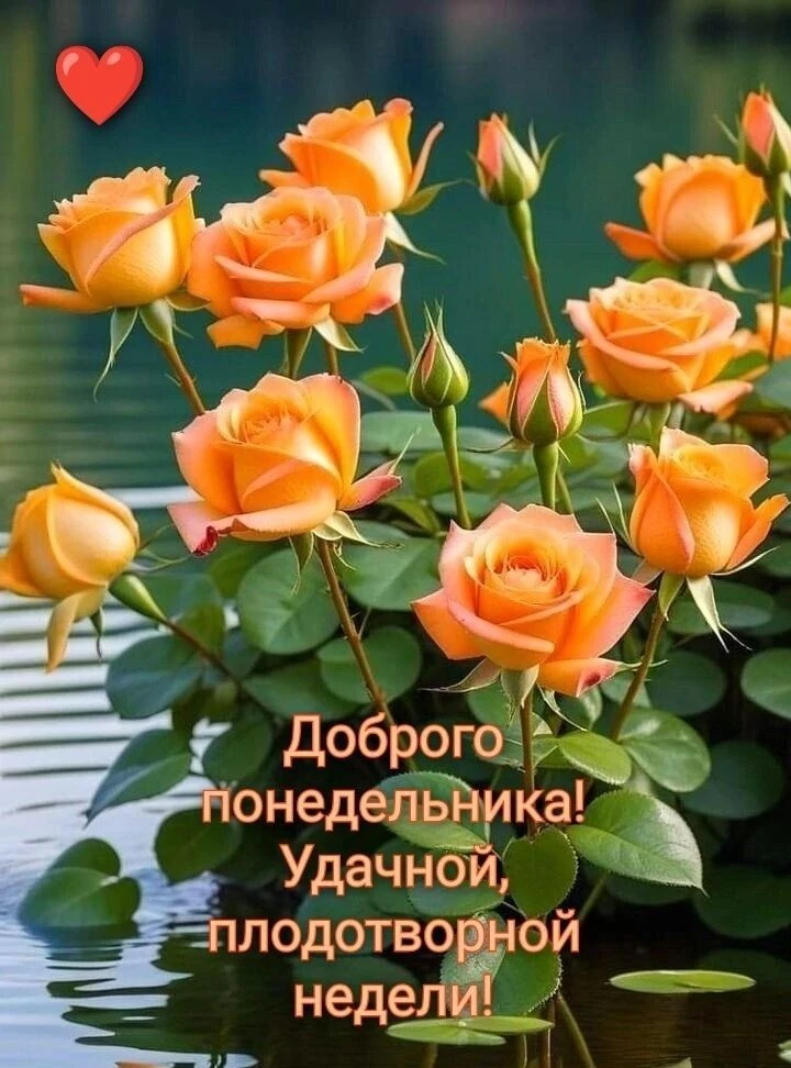 🧡🧡🧡