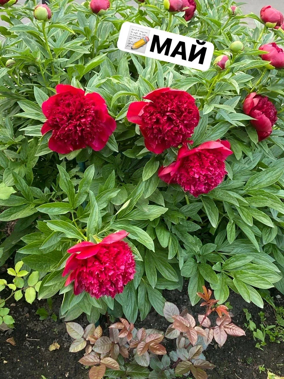 🛎️ Май 🍀экскурсии