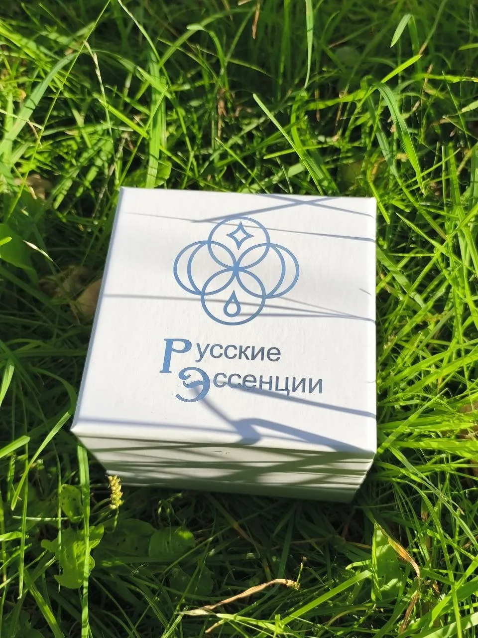 Шаги к
