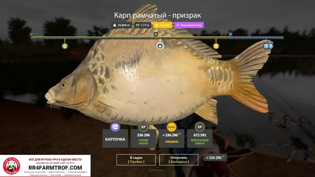 #янтарное@pp4farmtrof