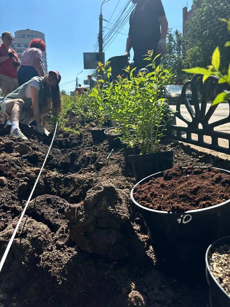 В городе Нижний Новгород, где и родился питомник Школьный сад 🌸 У театра оперы и балет...